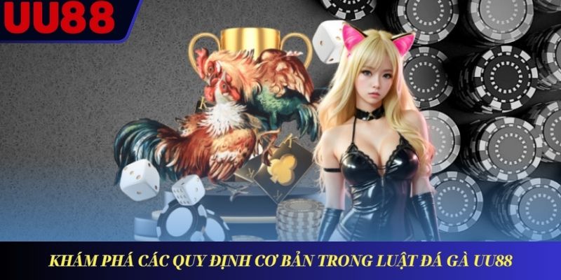 Khám phá các quy định cơ bản trong luật đá gà UU88
