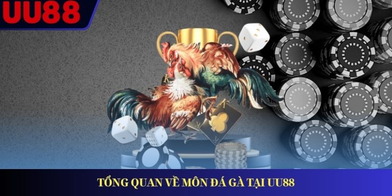 Tổng quan về môn đá gà tại UU88